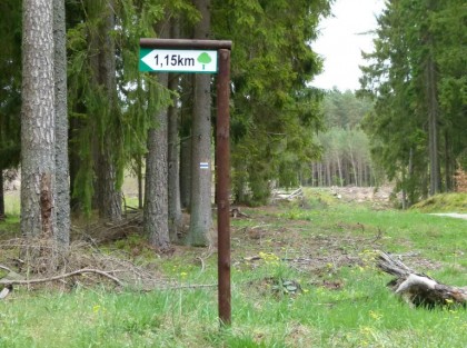 znak informujący o odległości do pomnika przyrody