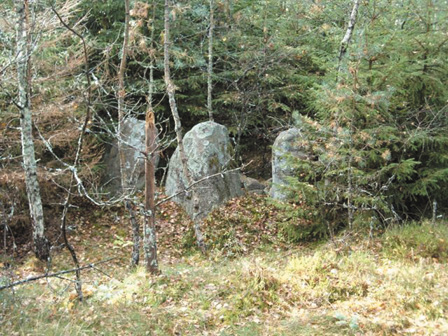 Zdjęcie przedstawiające grobowce megalityczne wśrod drzew i iglaków