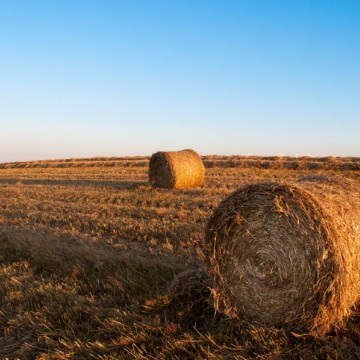 Składki na ubezpieczenie społeczne rolników w I kwartale 2016