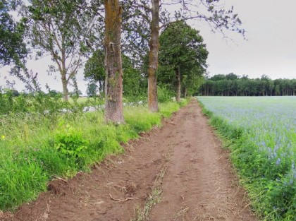 Zdjęcie przedstawiające wyrównanie terenu pod inwestycję