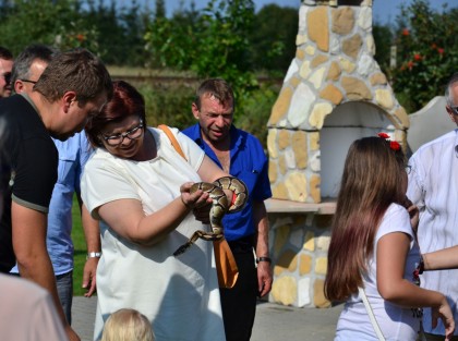 Powiększ zdjęcie