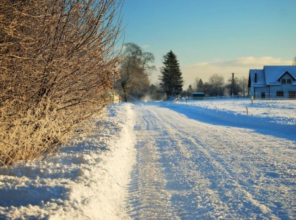 Powiększ zdjęcie