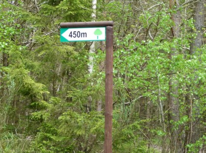 tablica informująca o 450 metrach do pomnika przyrody