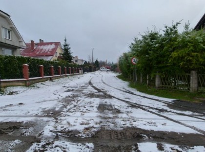 Powiększ zdjęcie