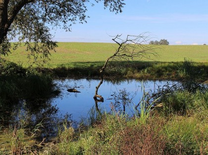 Wyróżnienie Szybut